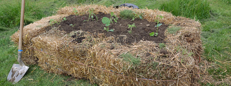 lasagne-jardinage-compost-segala